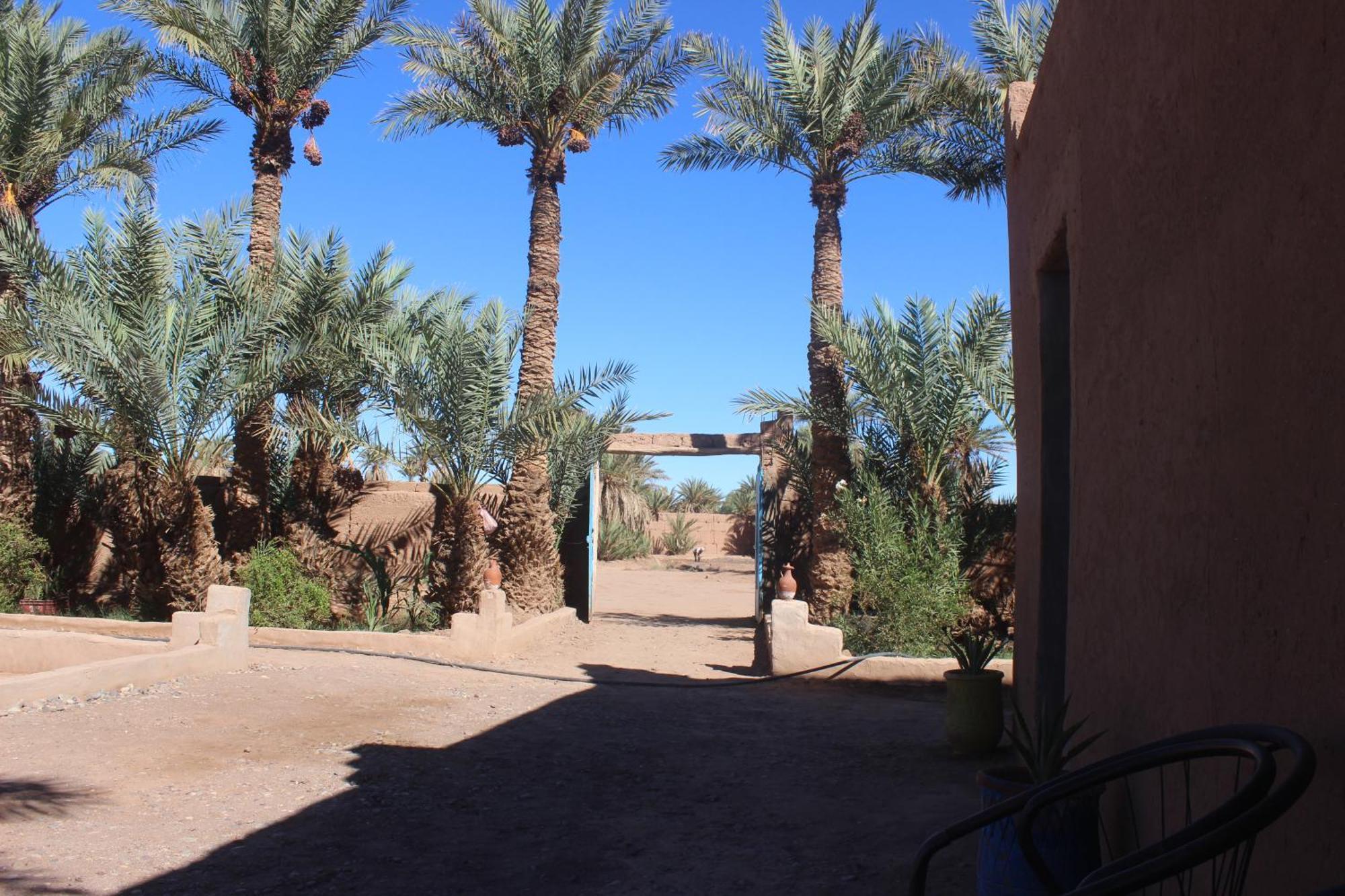 Kasbah Desert Camp M'Hamid Esterno foto