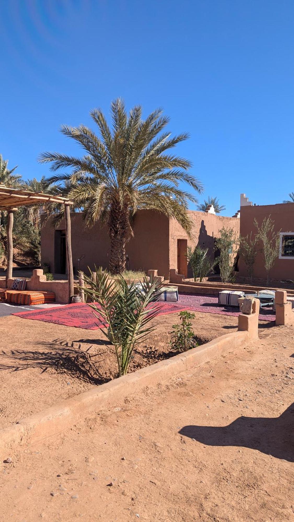 Kasbah Desert Camp M'Hamid Esterno foto